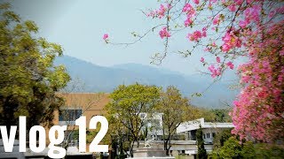 A day at Chiang Mai University  Chiang Mai Vlog 12 [upl. by Sirrah883]