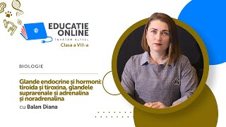 Biologie Clasa a VIIIa Glande endocrine și hormoni tiroida şi tiroxina glandele suprarenale [upl. by Hakim]