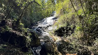 Sítio a venda em cunha 48 Alqueires Baixou o preço [upl. by Hadden]