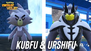 How to get Kubfu amp Urshifu in Pokemon Scarlet amp Violet [upl. by Redford]