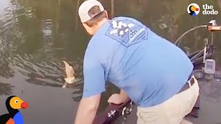 Kittens Swim Up To Fishermans Boat Looking for Help  The Dodo [upl. by Acnairb]