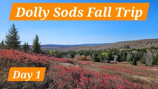 Fall Hiking in Dolly Sods Day 1 [upl. by Iene]