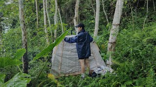 Camping on a Stormy Day  Cooking in the Rain and Lying Alone in a Small Tent [upl. by Elleneg993]