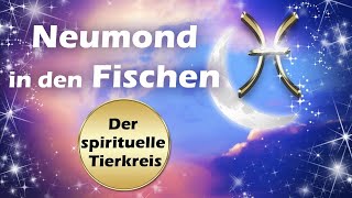 Neumond Mondzyklus und Special Der spirituelle Tierkreis [upl. by Wilie]