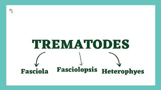 Fasciola Hepatica  Liver Fluke  Fasciolopsis buski  Heterophyes heterophyes  Intestinal Fluke [upl. by Boleslaw]