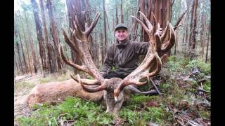 Red stag hunting in New Zealand 2016 [upl. by Oht]