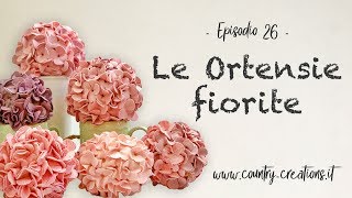 🌸 Le ortensie fiorite 🌸 [upl. by Naired]