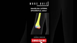 identify the lateral epicondyle 3d medicalquiz humerus neetpgpreparation mbbsanatomy [upl. by Walli]