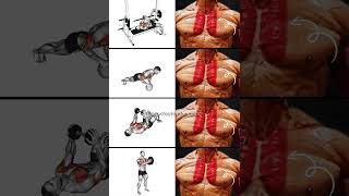 Transform Your Chest Best Inner Chest Workout for Massive Gains [upl. by Ennaitak]