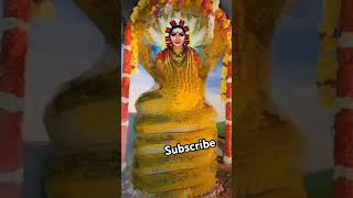 Bhagamma devi 🙏🙏🙏 Statusyoutubeshort video [upl. by Notled]