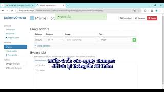 Hướng dẫn thêm proxy vào SwitchyOmega [upl. by Ennaxor]