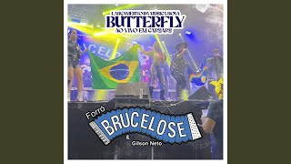 Butterfly Ao Vivo em Caruaru [upl. by Ronnholm]