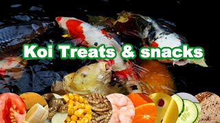 Koi food Treats and Feeding  Feeding Koi experiment [upl. by Bierman]