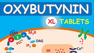 Oxybutynin 5 mg and 10 mg for Overactive Bladder [upl. by Aniretake]