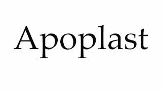 How to Pronounce Apoplast [upl. by Hepza491]