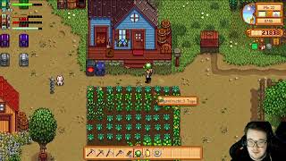 Stardew Valley amp We Are Football 2024 [upl. by Ludovico]