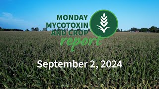 Monday Mycotoxin and Crop Report for September 2 2024 [upl. by Eiclek]