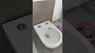 Excellent Vortex Flushing wall hung toilet [upl. by Ellehsal]