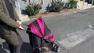 Gen7Pets Regal Plus Dog Stroller Raspberry Sorbet Pet Stroller Review [upl. by Ilse658]