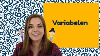 Variabelen  Statistiek voor beginners│BijlesHuis [upl. by Leoline459]