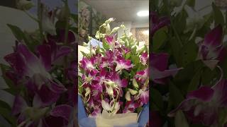 Orchid flower bouquet for birthday shortsshort [upl. by Bevash760]