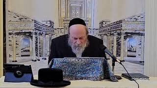 Preparing Ourselves For Yom Kippur  Rabbi Moshe Weinberger Tishrei 5785 [upl. by Calandra]