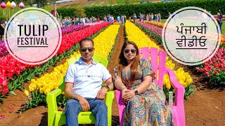 Vibrant Tulip Festival In Silvan Mustsee Attraction In Melbourne  Punjabi Vlog [upl. by Enaz]