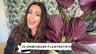 KAMERPLANTEN VERZORGEN VERZORGINGSTIPS VOOR JE KAMERPLANTEN OOK VOOR BEGINNERS  MELISSA AARSSÉE [upl. by Ordnassela]