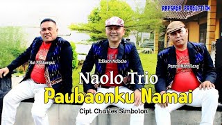 PAUBAONKU NAMAI  NAOLO TRIO  Official Music Video [upl. by Jews604]