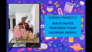 Waste Water Treatment Plant Working model with explanation II Science Project [upl. by Wrightson559]