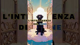 LIntelligenza Del Cane 🐕 motivazione lezionedivita saggezza [upl. by Aehta390]