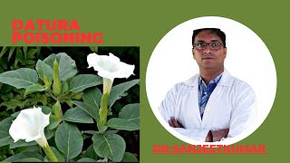 Tutorial 53DATURA POISONING [upl. by Mellitz]