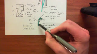 Introduction to Lipoproteins Part 6 [upl. by Kleiman927]