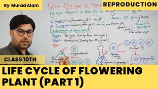 Life Cycle Of Flowering plant part 1 l Biology 10th UrduHindi l Ch Reproduction [upl. by Annawat]