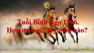 Tuổi Bính Ngọ 1966 Hợp màu gì Kỵ màu nào [upl. by Romina]