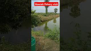 Howrah district fishery visit fishing chaaqua shorts shortsvideo chaaquabiotech1 [upl. by Notsnorb]