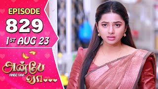 Anbe Vaa Serial Episode 829  1st Aug 2023  Virat  Delna Davis  Saregama TV Shows Tamil [upl. by Templer]