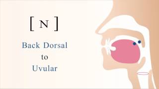 ɴ  voiced back dorsal uvular nasal stop [upl. by Funda322]