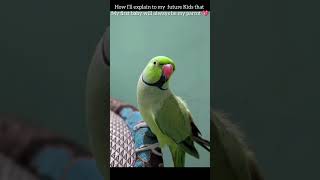 ❤️parrotingpetbird parrot birds singingparrot indianbird parrotsinging indianringneckparrot [upl. by Larimer379]