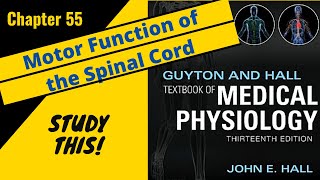 Guyton and Hall Medical Physiology Chapter 55 REVIEW Spinal Cord Motor Function  Study This [upl. by Pineda876]