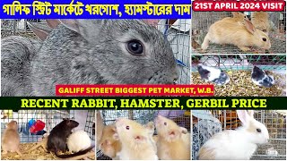 Recent Rabbit Hamster Gerbil Priceগালিফ স্ট্রিট খরগোশ মার্কেট Galiff Street Market WB210424 [upl. by Anar]