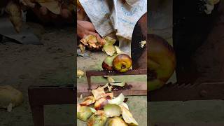 Palm cutting skills at village amazingskil fruit satisfying beautifulskills shorts [upl. by Edi]