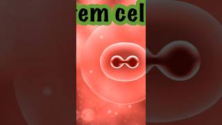 Blood cells facts ytshortsindia science bloodcells [upl. by Nilre381]