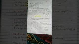 Anatomy notes  Uterus Organ  Uterus  Anatomy [upl. by Nad936]