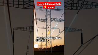 How Filament Bulb 💡 works facts knowledge KnowledgeSprout118 [upl. by Scotti]