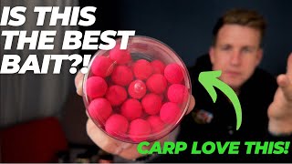 IS THIS THE BEST BAIT FOR CARP FISHING [upl. by Vitek95]