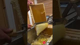 107150 Electric uncapping knife beekeeping [upl. by Serdna632]