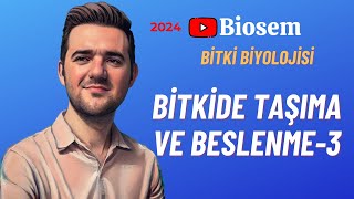 Bitki Biyolojisi  Bitkide Taşıma3 Konu Anlatımı 12 Sınıf Biyoloji [upl. by Nickola]