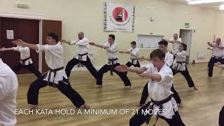 Introduction to Yoseikan Karate Association [upl. by Cacia]