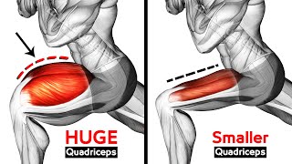 Best Exercises Quadriceps To Get Wide Leg Workout [upl. by Alrahs863]